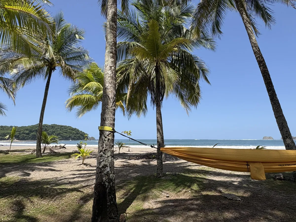 Playa con palmeras y hamaca